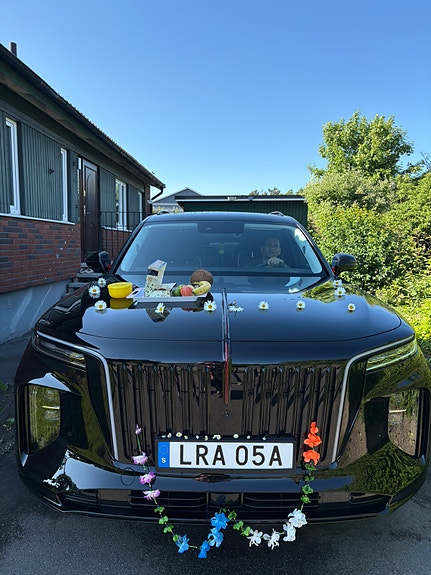 Hongqi E-HS9 14 of 30
