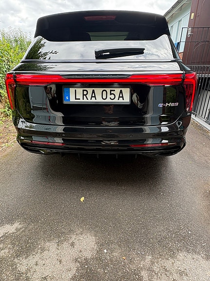 Hongqi E-HS9 24 of 30