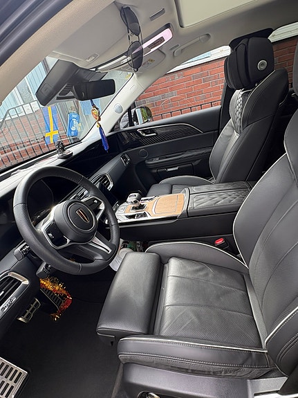 Hongqi E-HS9 28 of 30