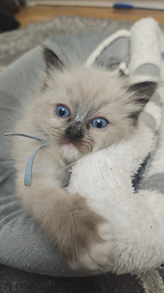 Product image 9 of 9