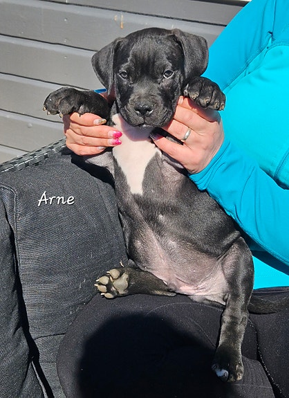 Product image 5 of 8