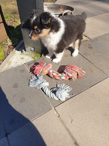 Product image 9 of 9