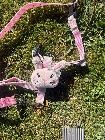 Product image 26 of 35