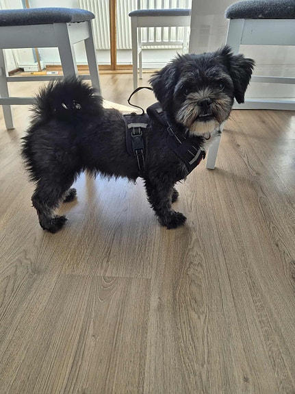 Product image 6 of 9