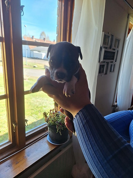 Product image 4 of 9