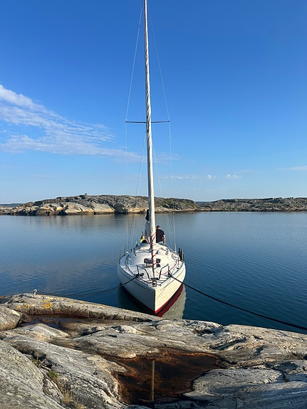 Albin Accent 26 — View photo 1