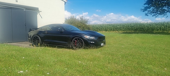Ford Mustang 2 of 5
