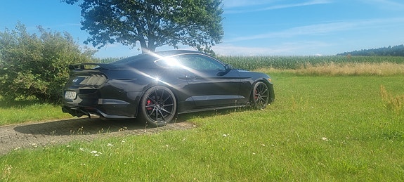 Ford Mustang 5 of 5