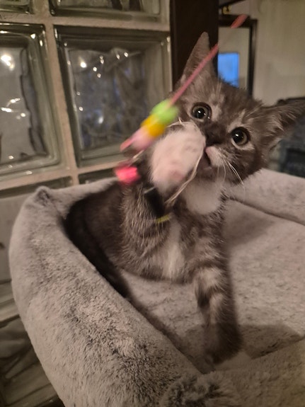 Product image 9 of 10