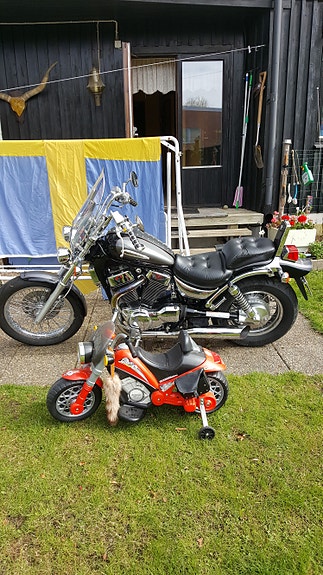 Suzuki 1400 4 of 4