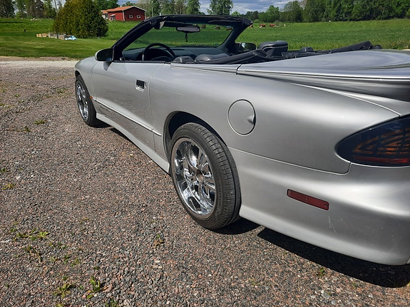 Pontiac Trans Am 4 of 11