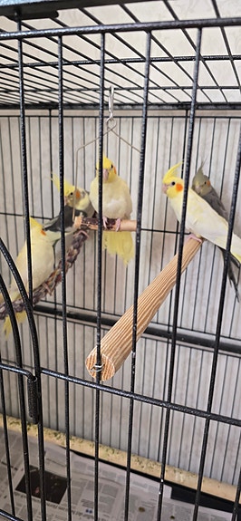 Product image 3 of 8