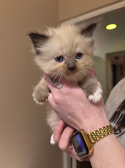 Product image 8 of 9