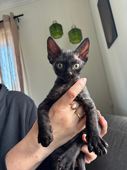 Product image 6 of 9