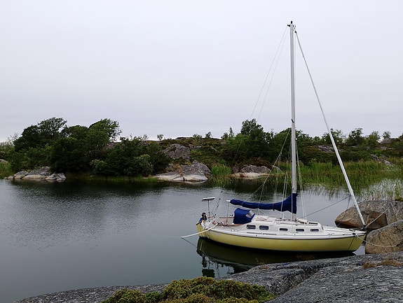 Allegro 27 med NY MOTOR & NYA SEGEL 2 of 7