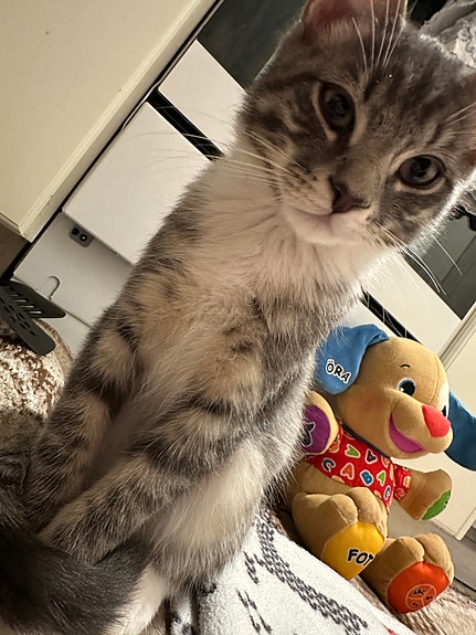 Product image 2 of 6