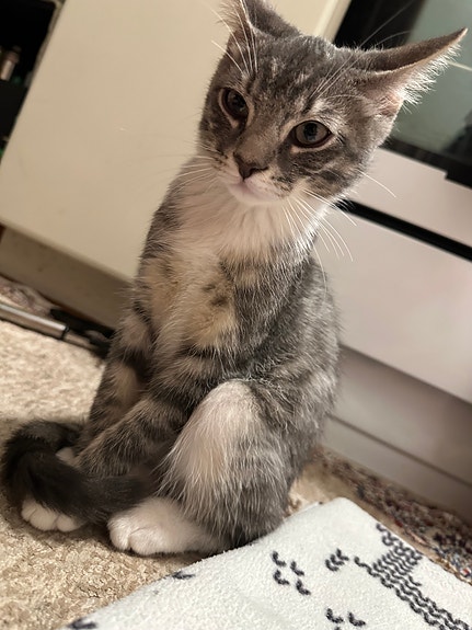 Product image 5 of 6