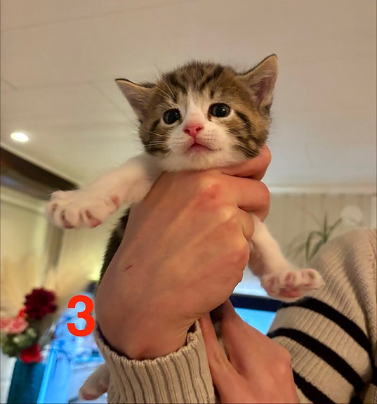 Product image 7 of 9