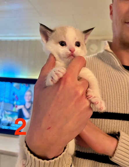 Product image 6 of 9