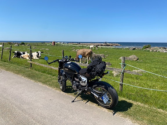 Ducati Scrambler 800 Café Racer 5 of 6