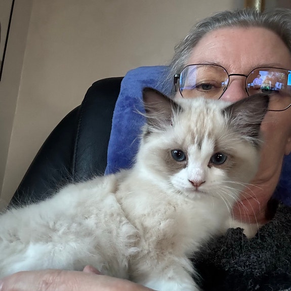 Product image 2 of 8