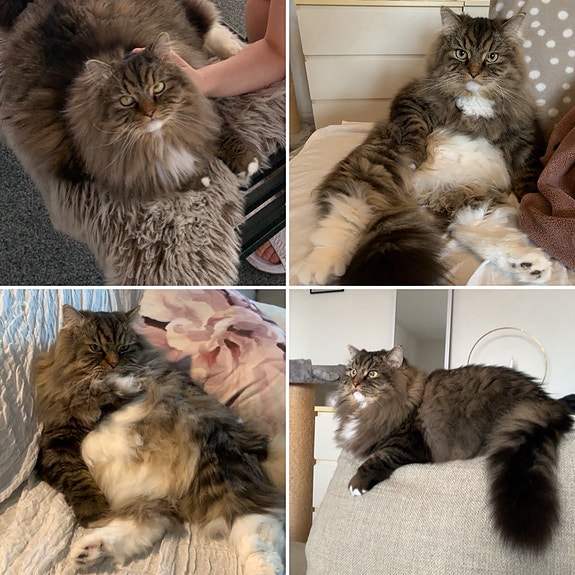 Product image 3 of 10