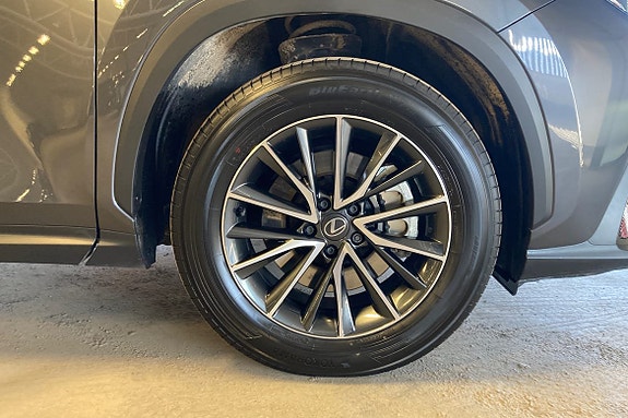 Lexus NX450h+ 18 of 19