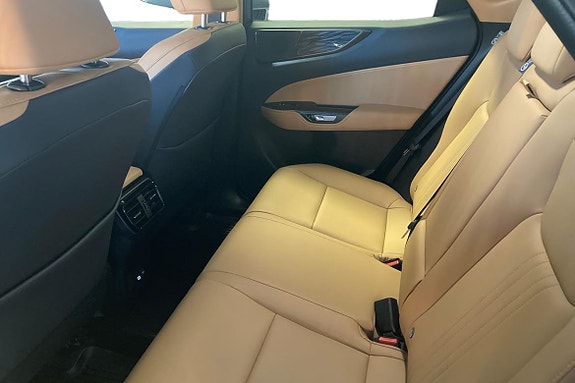 Lexus NX450h+ 10 of 19