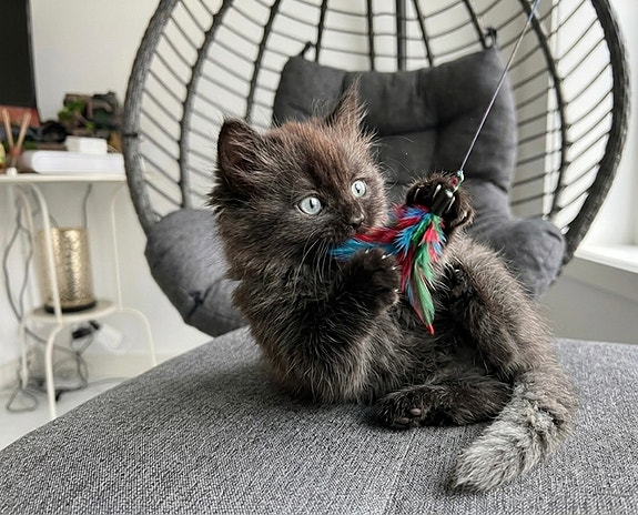 Product image 3 of 8