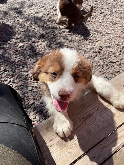 Product image 4 of 7