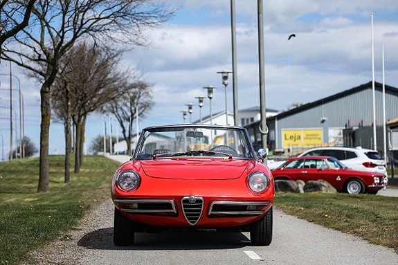 Alfa Romeo Spider 3 of 14