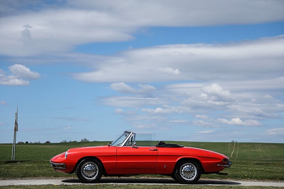 Alfa Romeo Spider 10 of 14