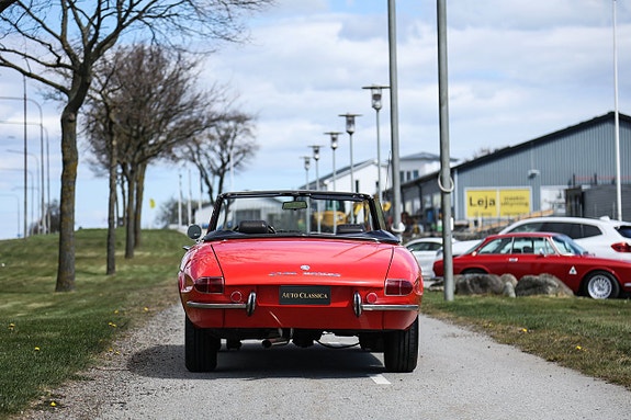 Alfa Romeo Spider 8 of 14