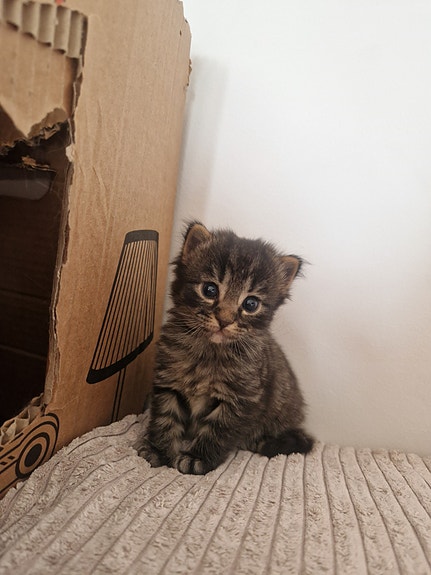 Product image 6 of 9