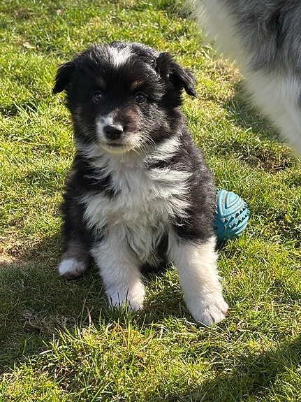 Product image 5 of 9