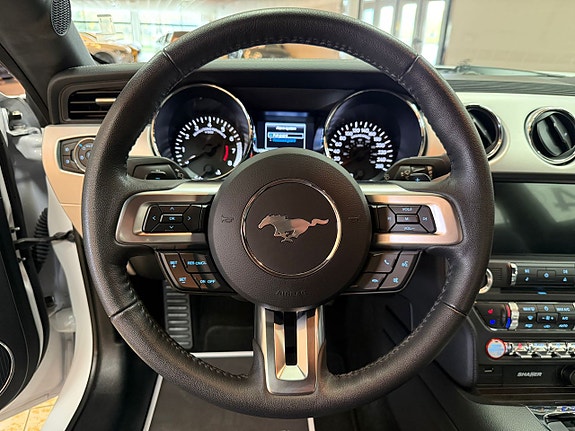 Ford Mustang 18 of 25