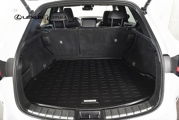 Lexus NX350h 10 of 21