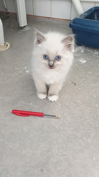 Product image 2 of 7