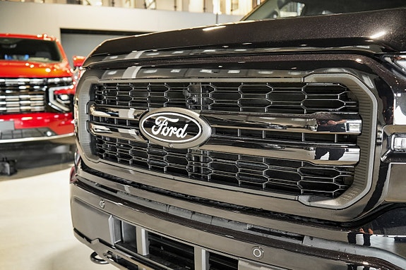 Ford F-150 16 of 30
