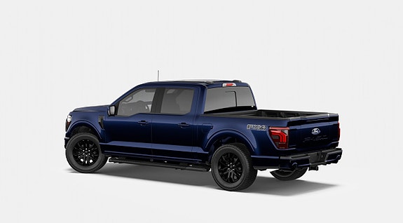 Ford F-150 2 of 5
