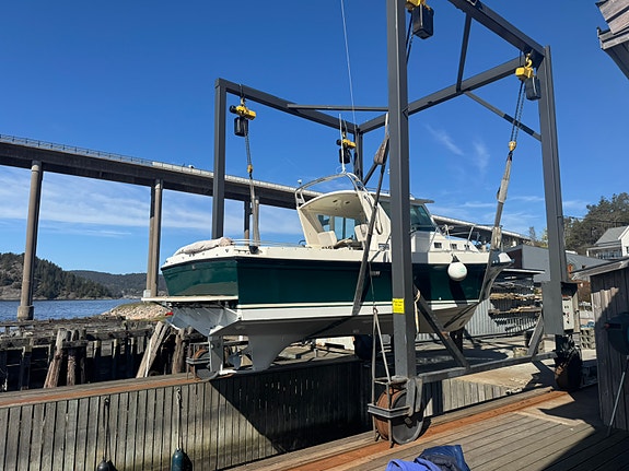 A28 Tournament Express Hardtop Yanmar 6LP 6 of 8