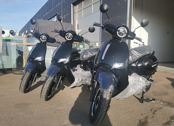 Sakura ELHÄSTEN Sakura JS2B-2 elmoped 6 of 6