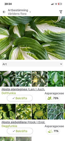 Product image 22 of 30