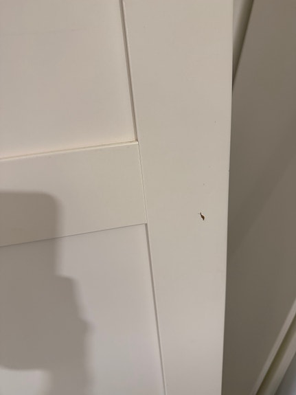 Product image 21 of 22