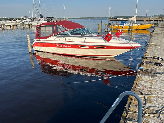 Sea Ray 230 Cuddy Cabin Daycruiser 4 of 10