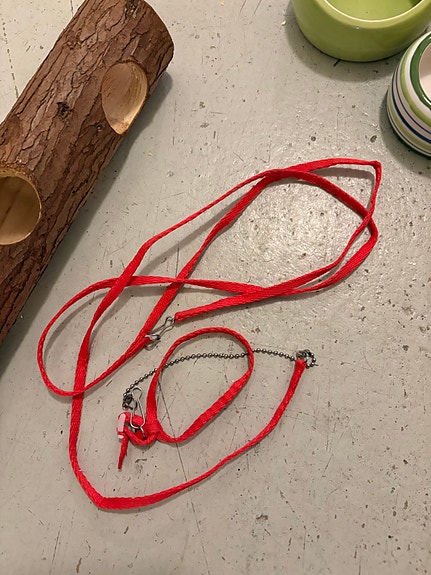 Product image 16 of 17