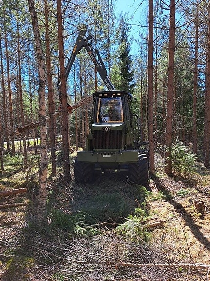 Farma LF8 7 of 7