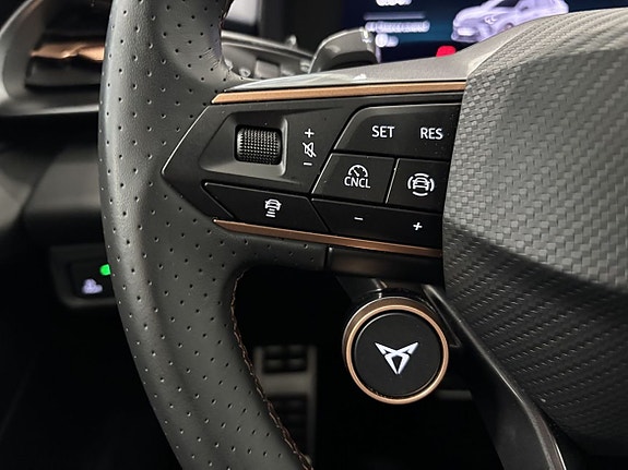 Cupra Terramar 14 of 22