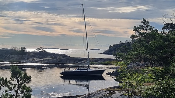 Dehler db1 mod SWE 9681 Wiz. Snabbseglare för  finsmakaren. 3 of 5