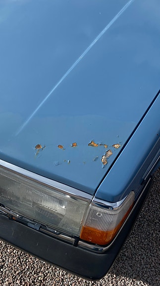 Volvo 244 6 of 7